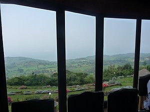 Nice View