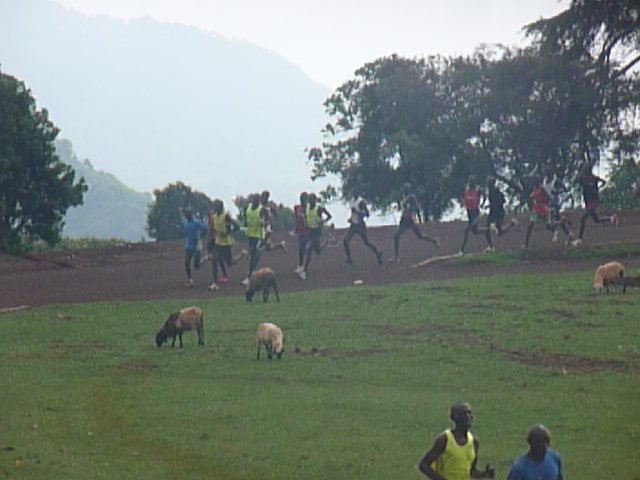 Track is starting to get more crowded