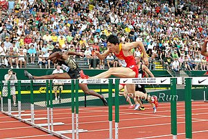 Liu Xiang