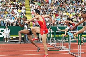 Liu Xiang