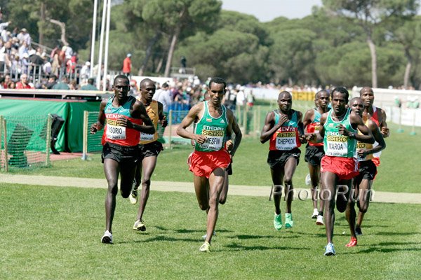 Matthew Kisorio, Hunegnaw Mesfin, Marga and Others
