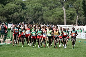 Lead Pack