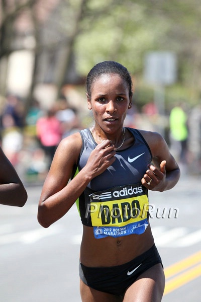 NYC Champ Firehiwot Dado