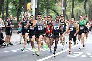 David Torrence Leads