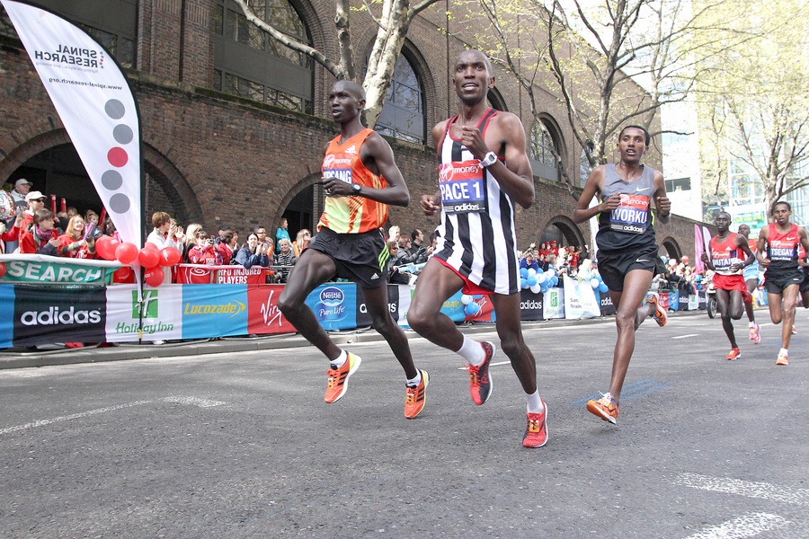Wilson Kipsang Getting Antsy with the Rabbit