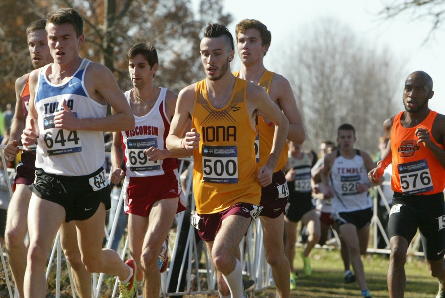Mitch Goose Of Iona #500