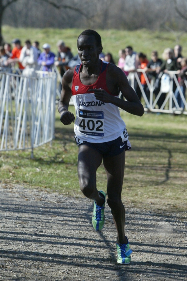 Lawi Lalang