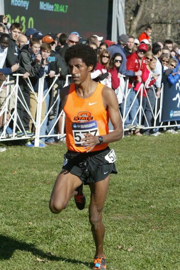 Girma Mecheso