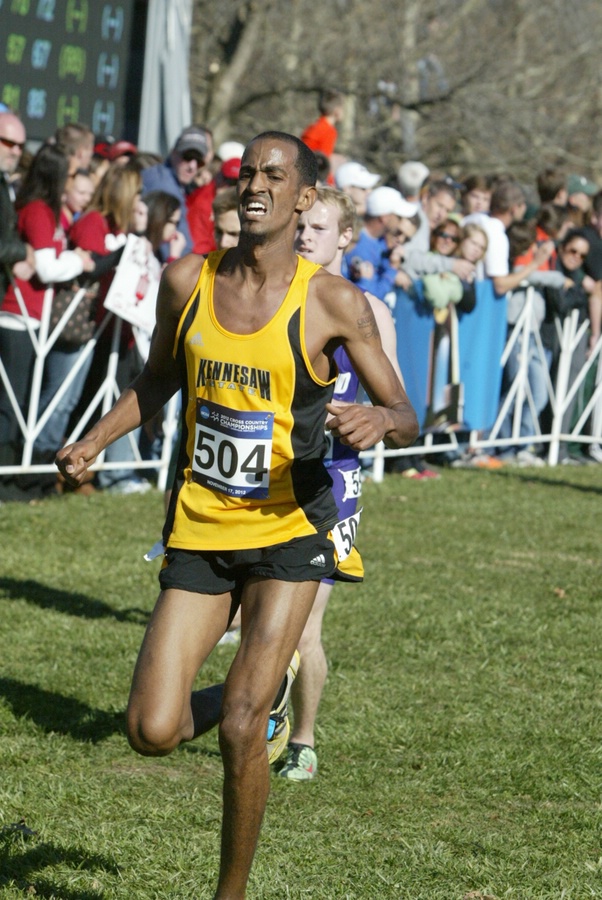 Nabil Hamid