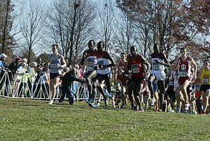 Lead Pack