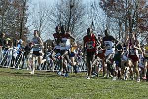 Men's Leaders