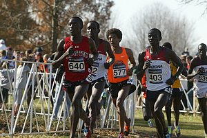 Men's Lead Pack