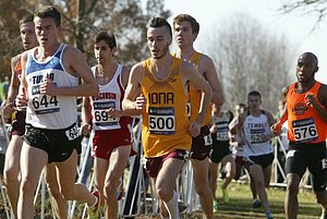 Mitch Goose Of Iona #500
