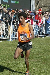Girma Mecheso