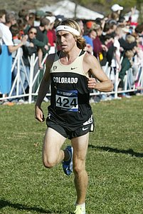 Pierce Murphy