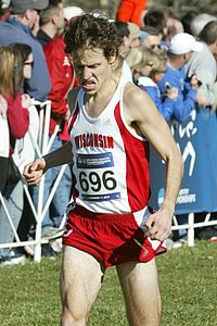 Robert Finnerty