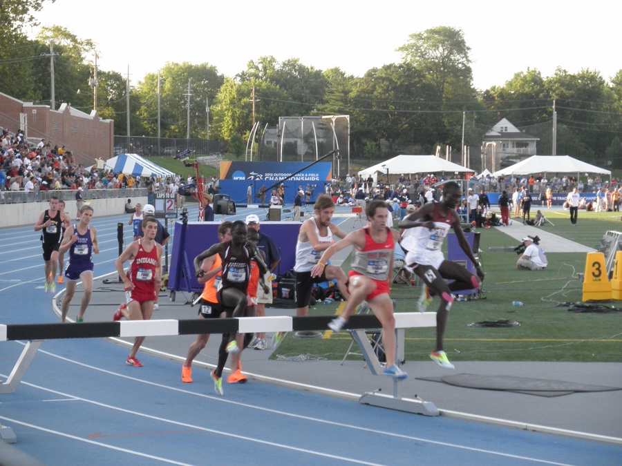 Men's Steeple Prelims
