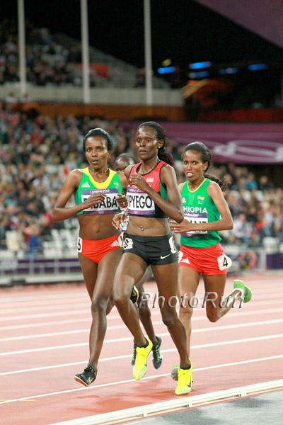 Lead Pack of 4