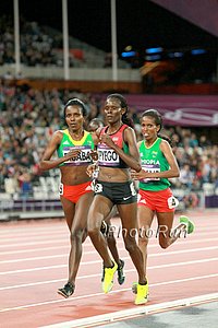 Lead Pack of 4