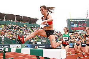 Ashley Higginson