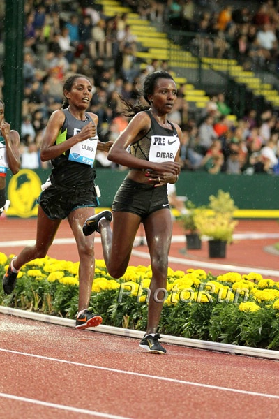 Oljira Dibaba