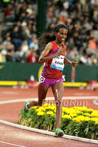 Werknesh Kidane