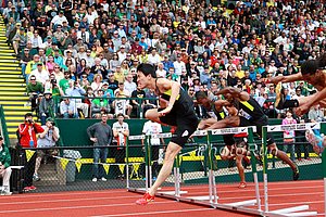 Liu Xiang Wins