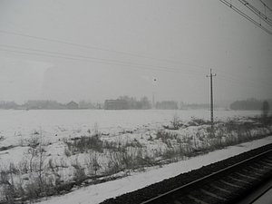 Snow in Countryside