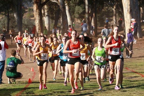 800m Win