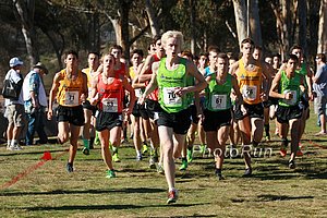 800m