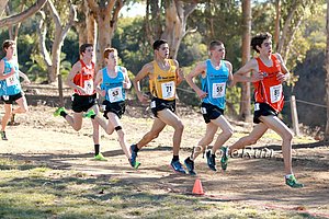 2k  Matthew Maton  Leads