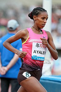 Hiwot Ayalew