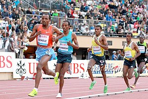 Tariku Bekele Leads Alamirew in 5000