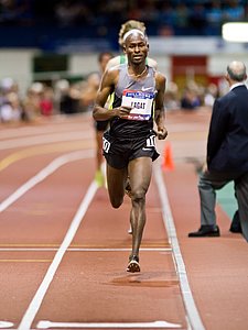 Bernard Lagat
