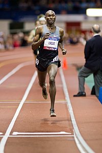 Lagat at the Bell Lap