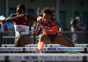 Brianna Rollins