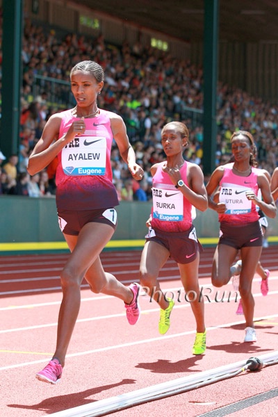 Hiwot Ayalew