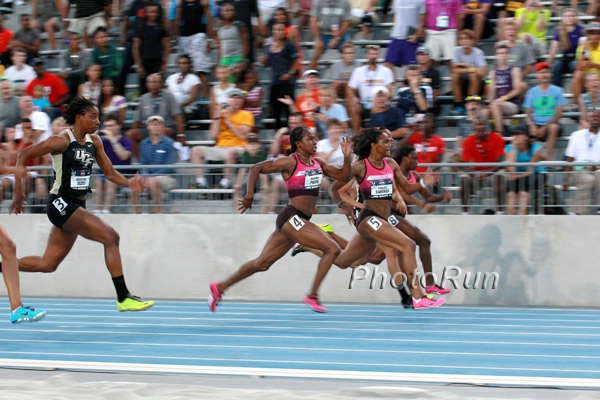 English Gardner Leads