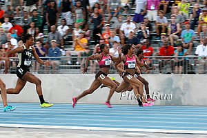 English Gardner Leads
