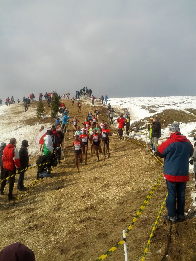 Coming Down the Big Hill