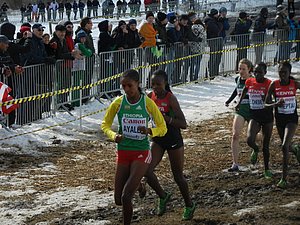 Women's Race Photos