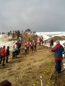 Coming Down the Big Hill