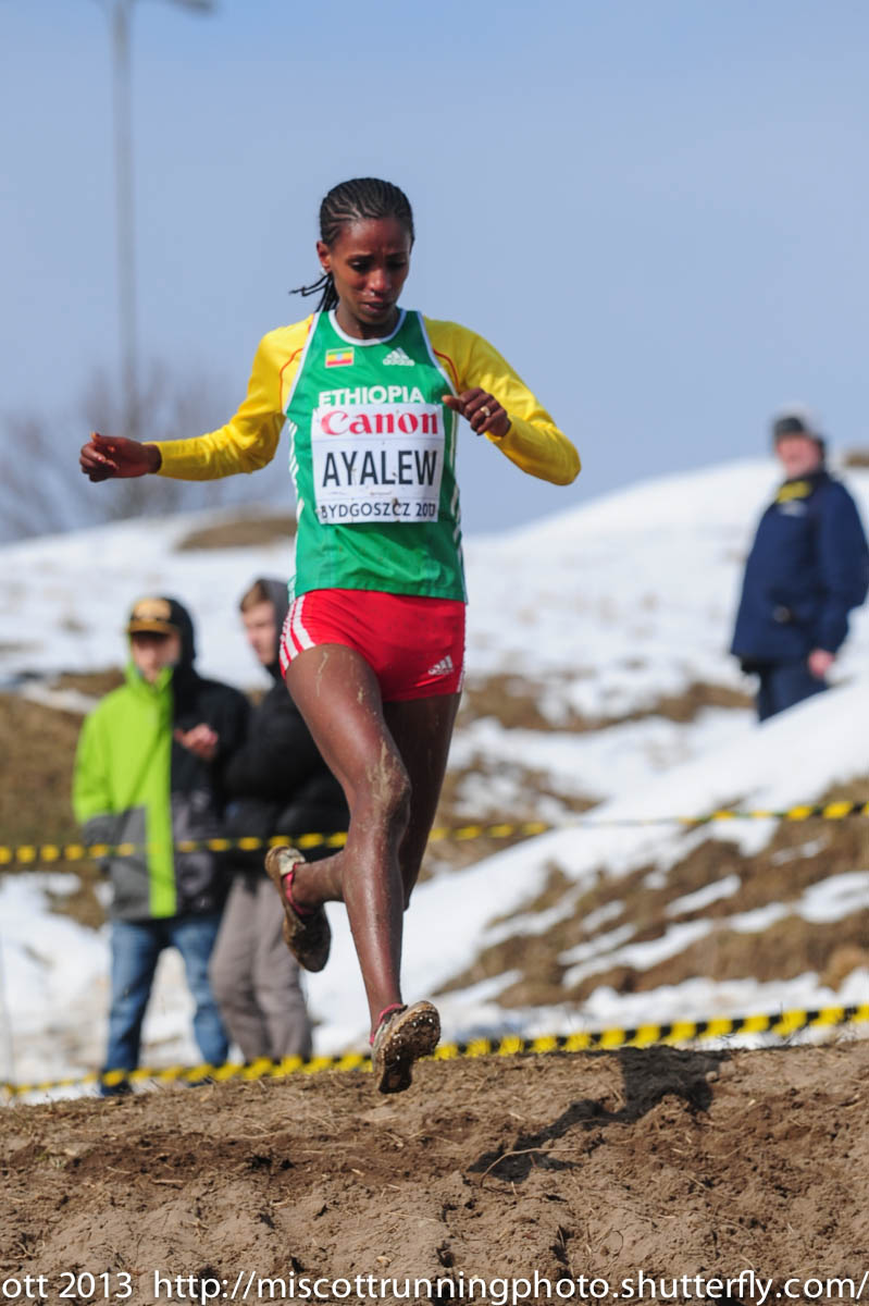 Hiwot Ayalew Still LEads