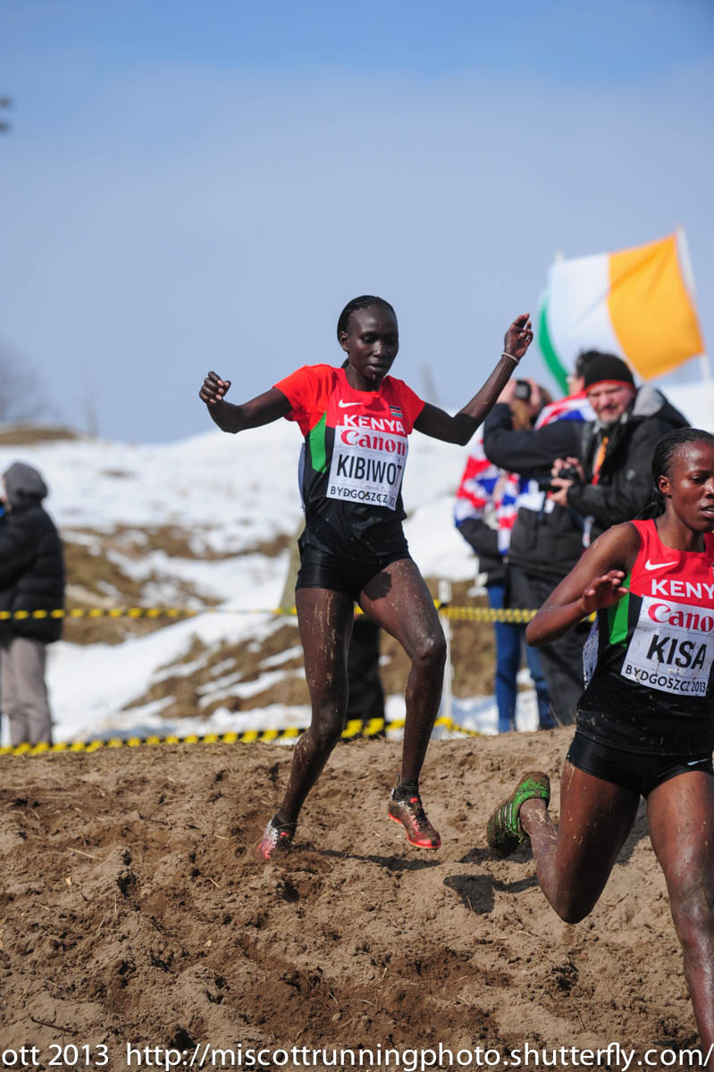 Viola Kibiwot