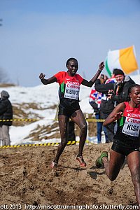 Viola Kibiwot