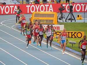 500m To Go