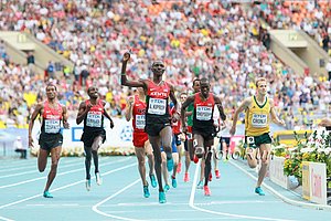 Kiprop Gold, Centro Silver, Cronje Bronze