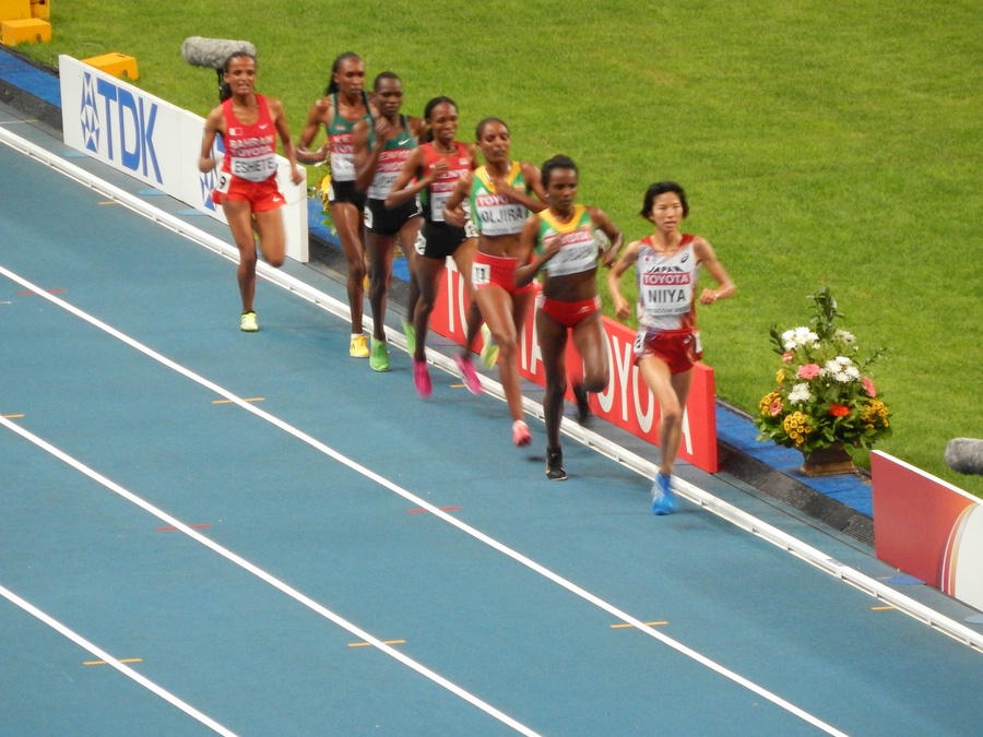 Hitomi Niiya LEads