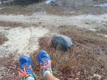 A Runner's Shoes