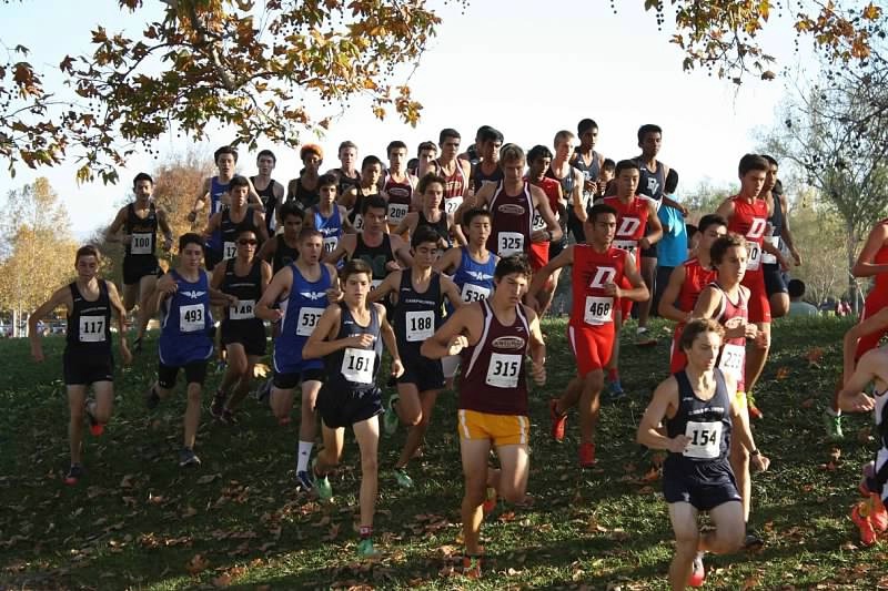 XC Magic